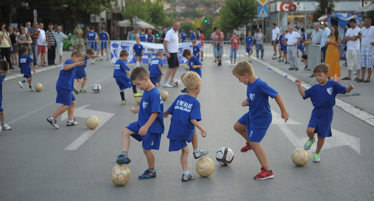 Mlađe kategorije FK Metalac