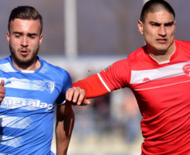 FK Metalac