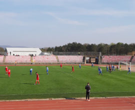 FK Metalac