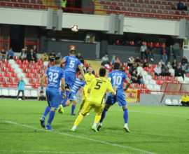 FK Metalac