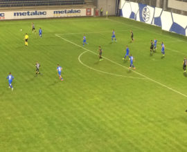 FK Metalac