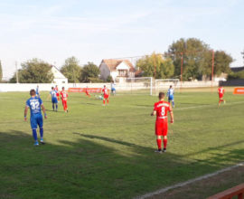 FK Metalac