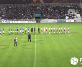 FK Metalac