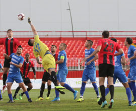 FK Metalac