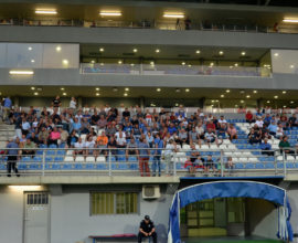 FK Metalac