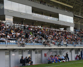 FK Metalac