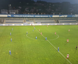 FK Metalac