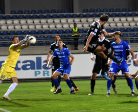 FK Metalac
