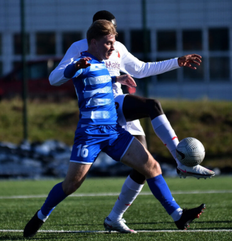 Metalac - Javor