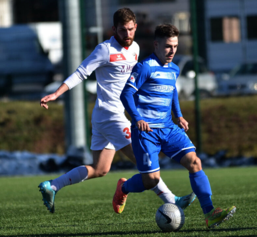 Metalac - Javor