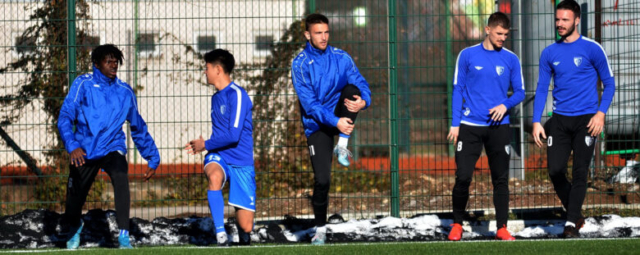 Metalac - Javor
