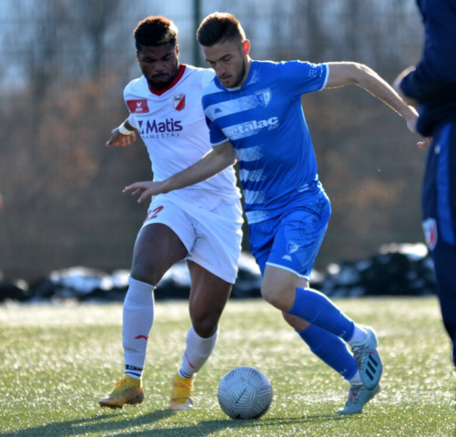 Metalac - Javor