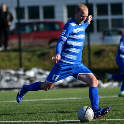 Metalac - Javor