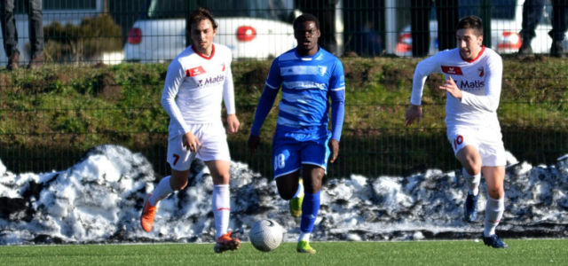 Metalac - Javor