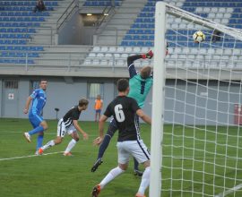 Metalac - Teleoptik
